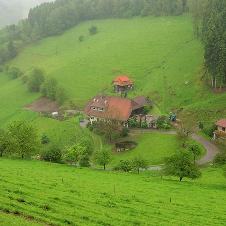 Cosy Farmhouse Apartment At The Edge Of The Forest Mühlenbach Buitenkant foto
