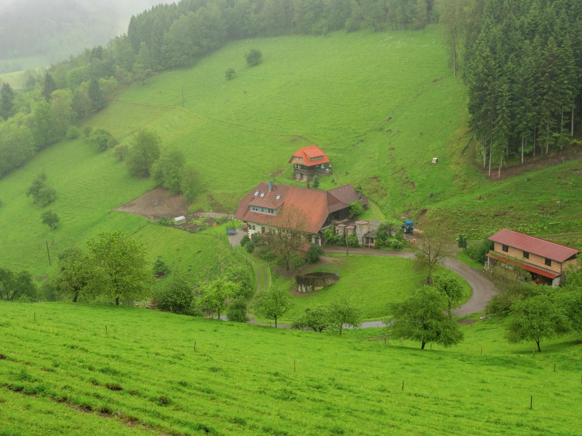 Cosy Farmhouse Apartment At The Edge Of The Forest Mühlenbach Buitenkant foto