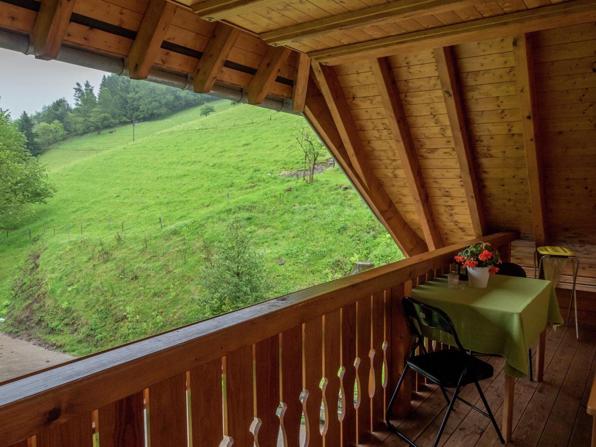 Cosy Farmhouse Apartment At The Edge Of The Forest Mühlenbach Buitenkant foto