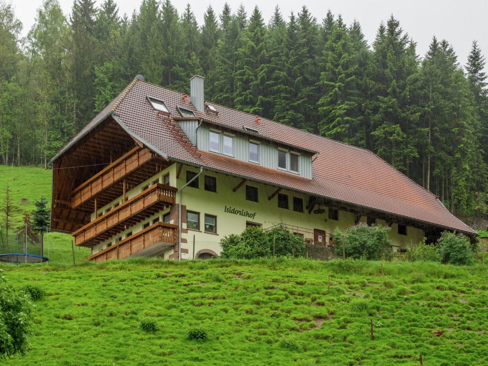 Cosy Farmhouse Apartment At The Edge Of The Forest Mühlenbach Buitenkant foto