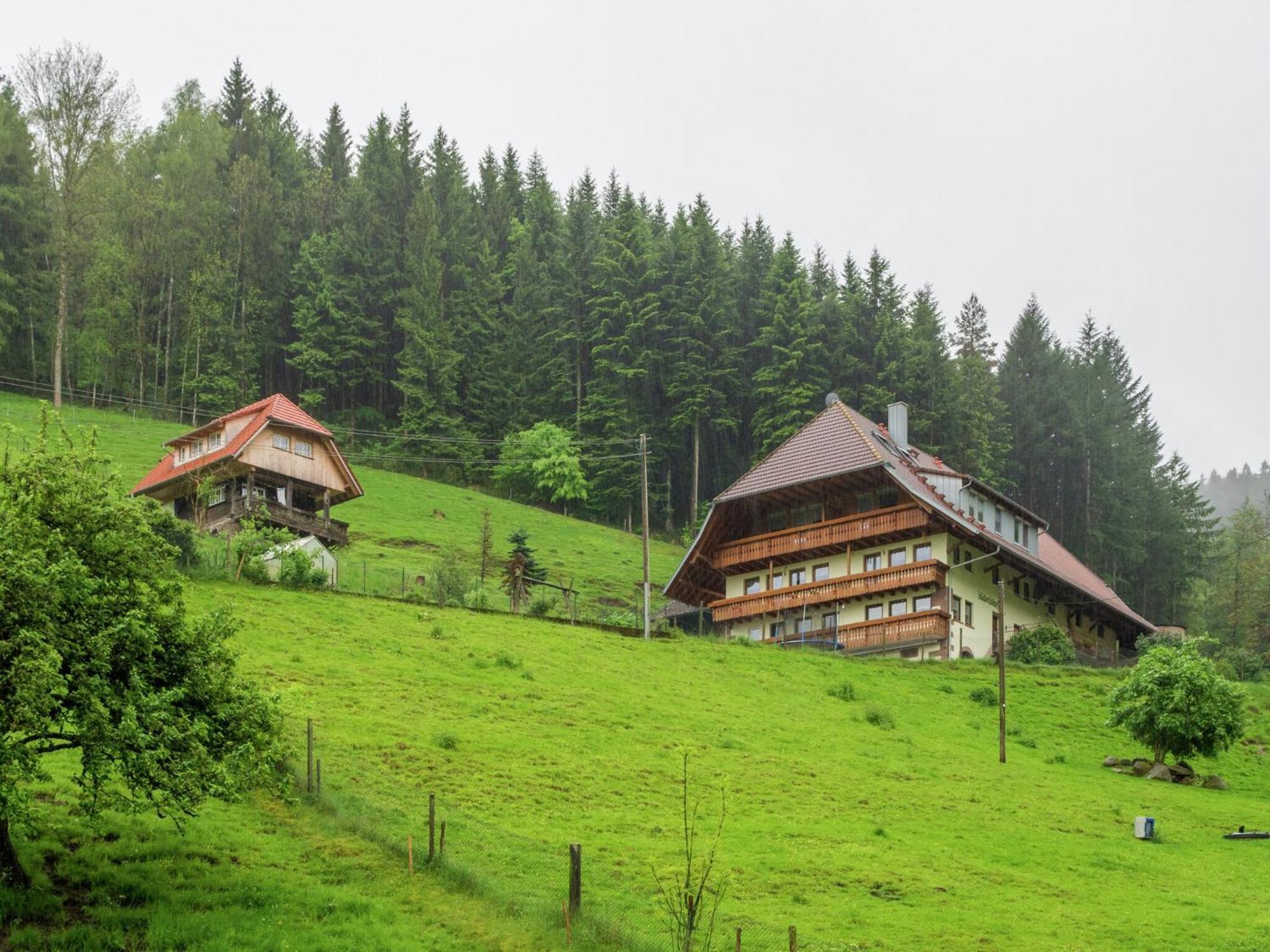 Cosy Farmhouse Apartment At The Edge Of The Forest Mühlenbach Buitenkant foto